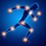 Joint Health Maintenance