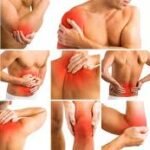 physio 7
